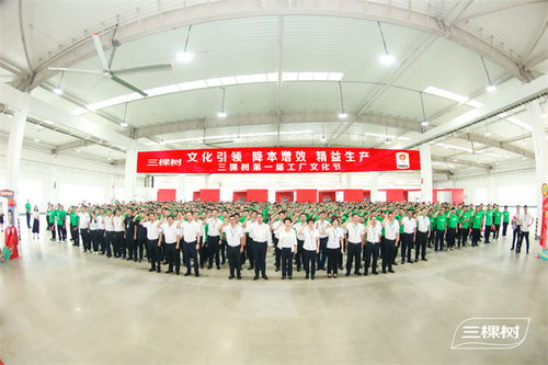 凝心聚力共筑文化生產(chǎn)力 | 三棵樹(shù)第一屆工廠文化節(jié)啟動(dòng)儀式圓滿舉行